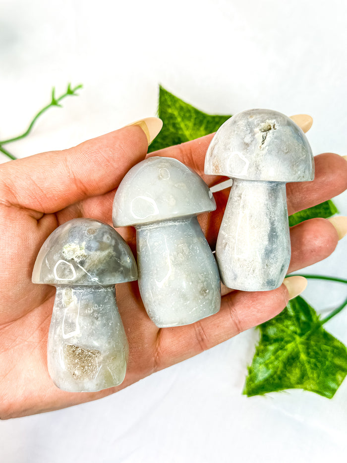 Agate Mushroom