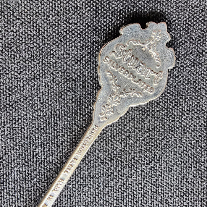 Calgary Alberta Canada Stampede Collectible Souvenir Spoon 4 1/2" Silver Plated