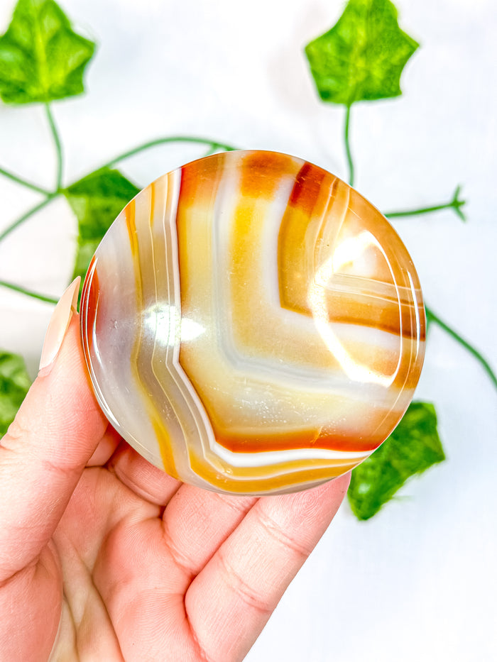 Carnelian Circle Bowl