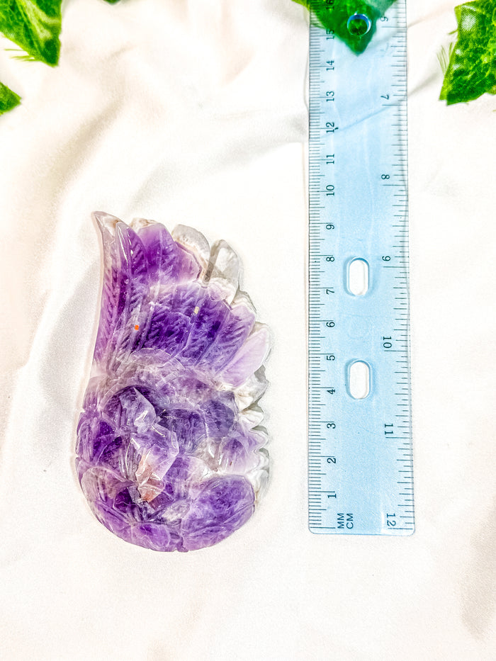 Chevron Amethyst Angel Wing (55J)