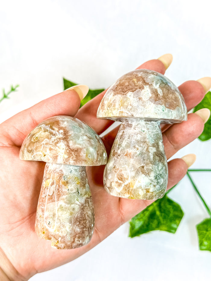 Flower Agate Mushroom