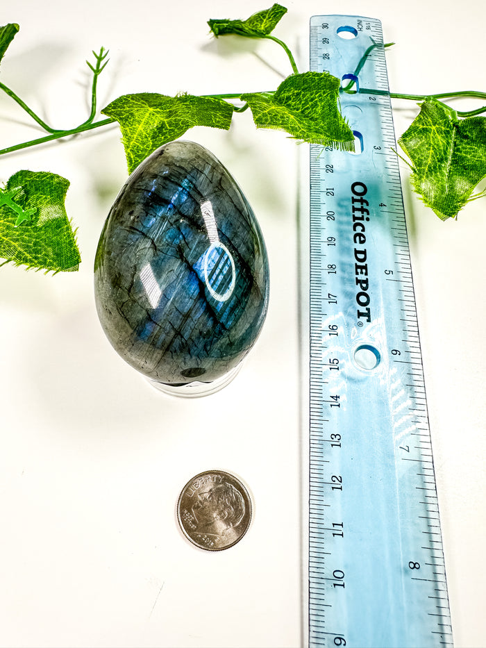 Labradorite Egg (26B)