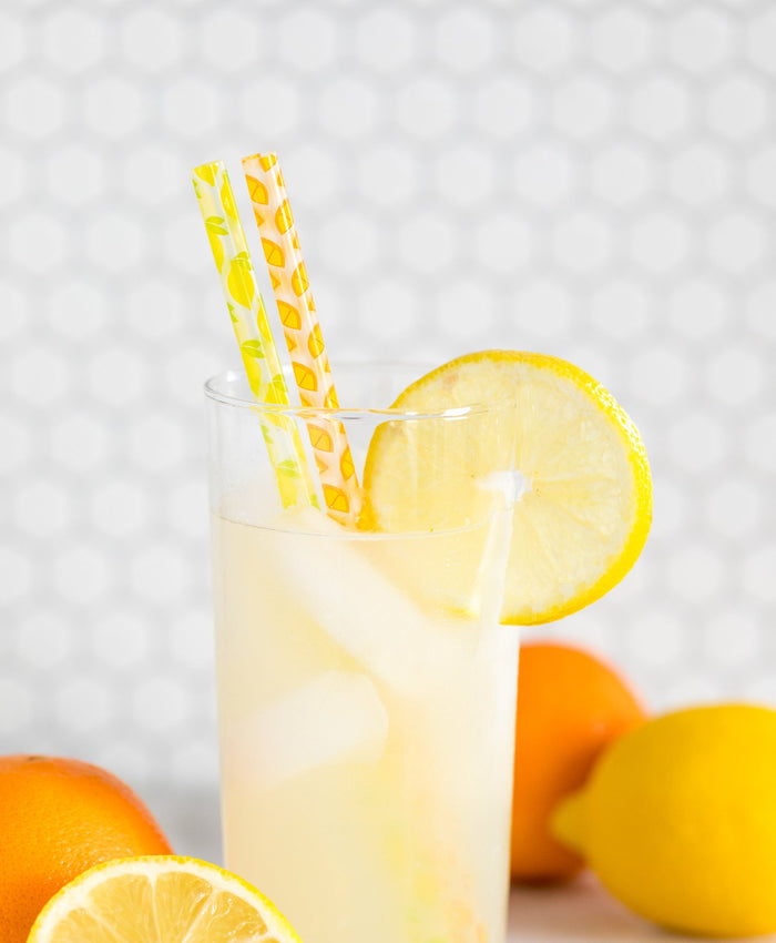 Lemons & Oranges Reusable Straws