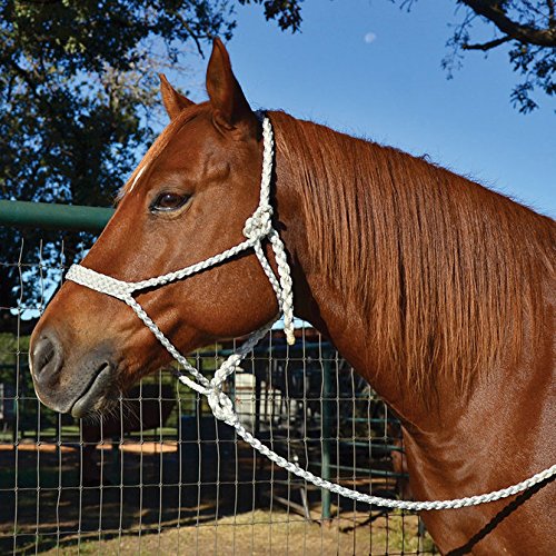 Martin Saddlery Muletape Halter