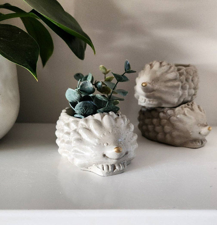 PLANT ‘ER HERE Marley the Hedgehog