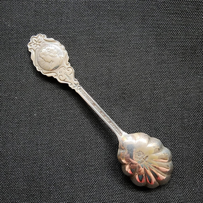 St Martin Island Collectible Travel Souvenir Spoon 4.5" (11cm) St Maartin Parrot