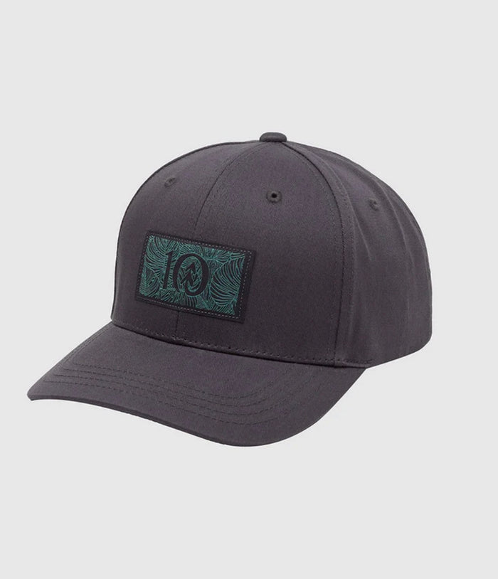 TENTREE Amazon Patch Elevation Hat
