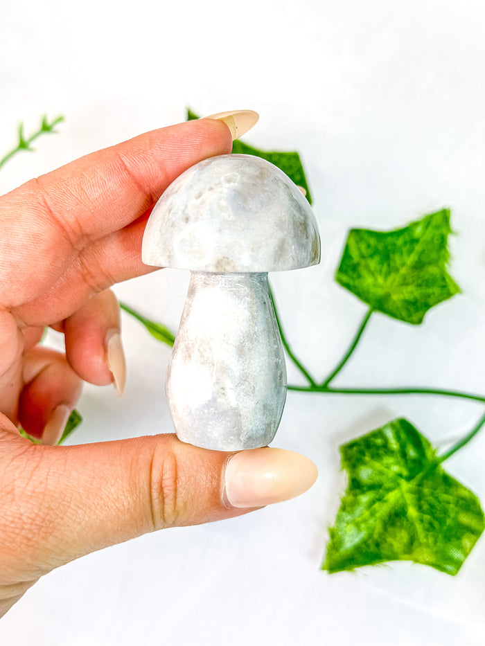 Agate Mushroom