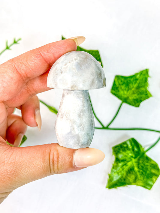 Agate Mushroom