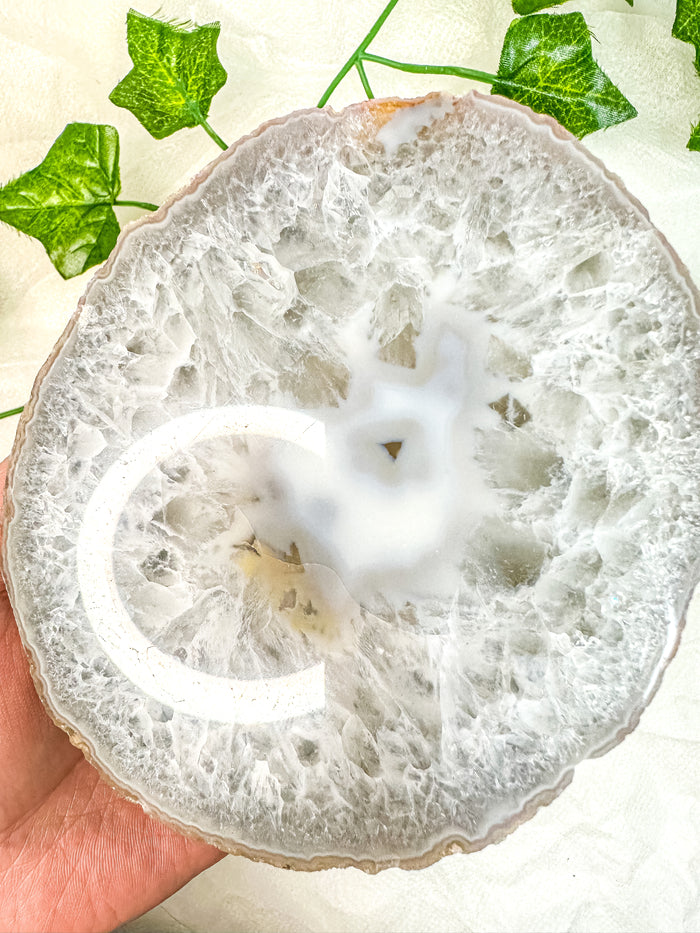 Agate Slab #14