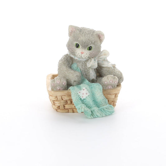 Calico-Kittens-Always-Thinking-Of-You-112437