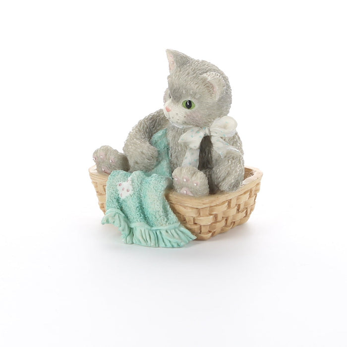 Calico-Kittens-Always-Thinking-Of-You-112437-picture-2