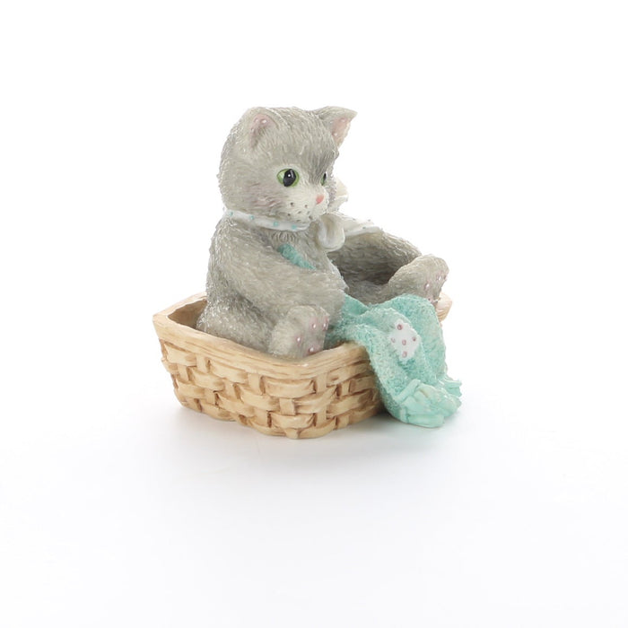 Calico-Kittens-Always-Thinking-Of-You-112437-picture-8