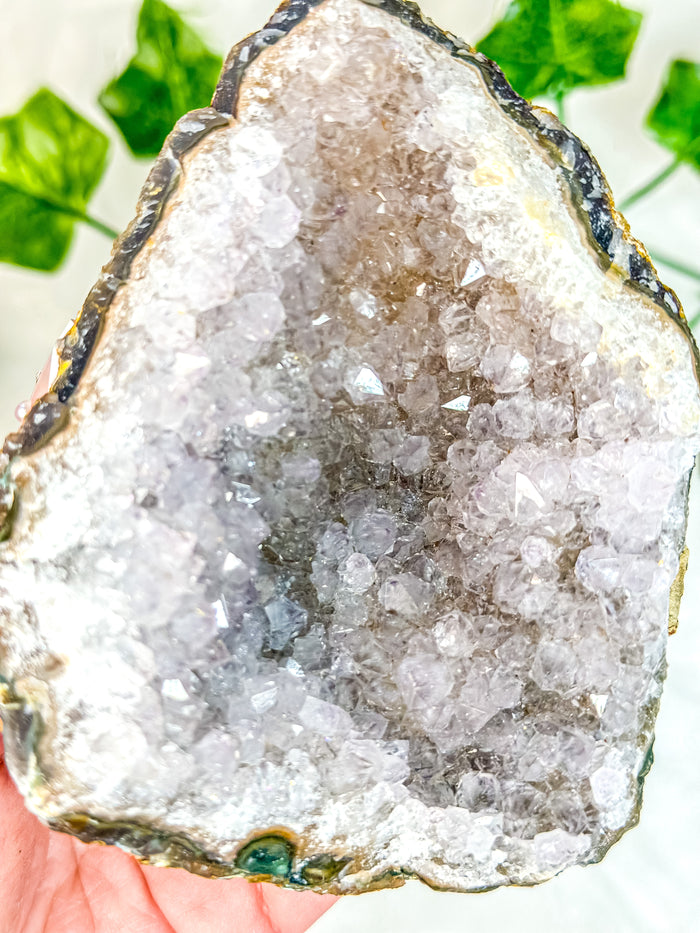 Amethyst Cluster #10