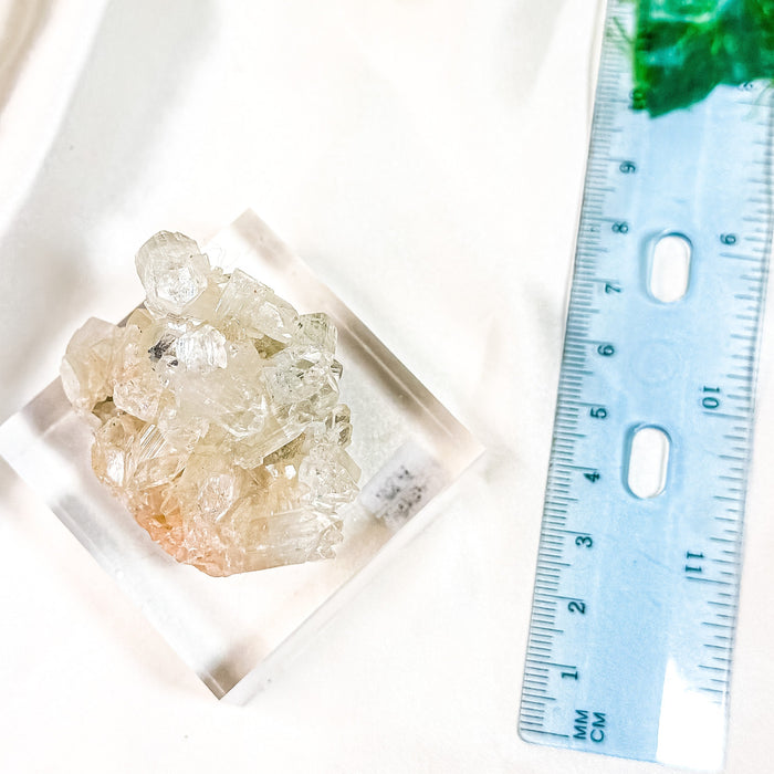 Apophyllite Cluster & Peach Stilbite Mineral Specimen on Display (38A)