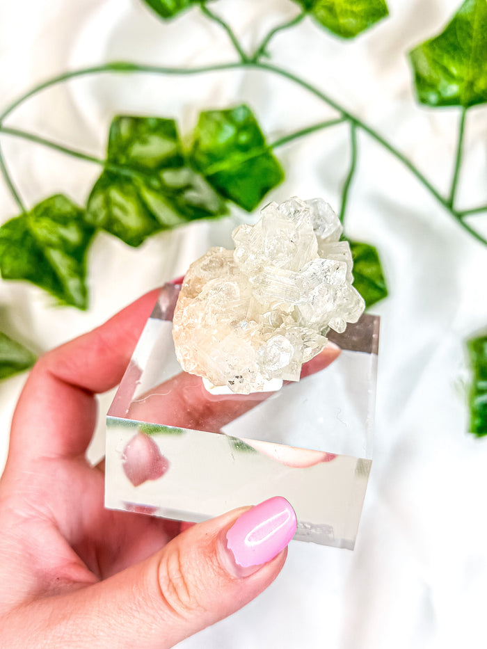 Apophyllite Cluster & Peach Stilbite Mineral Specimen on Display (38A)