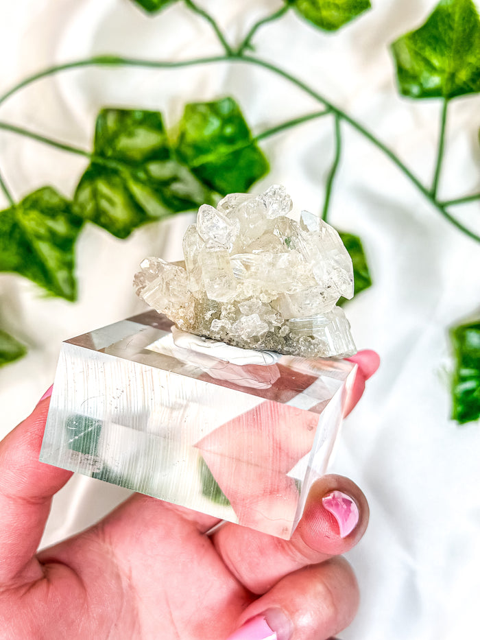 Apophyllite Cluster & Peach Stilbite Mineral Specimen on Display (38A)