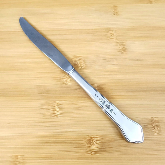 Ashmore Oneida Dinner Knife Hollow Handle Stainless Burnished Flatware