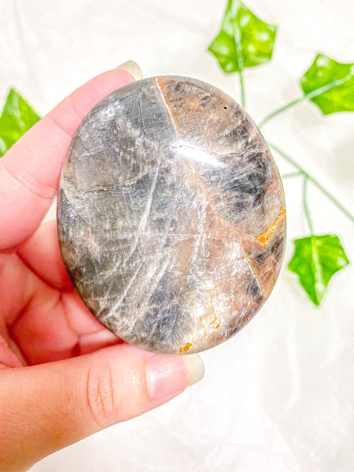 Black Moonstone Palmstone