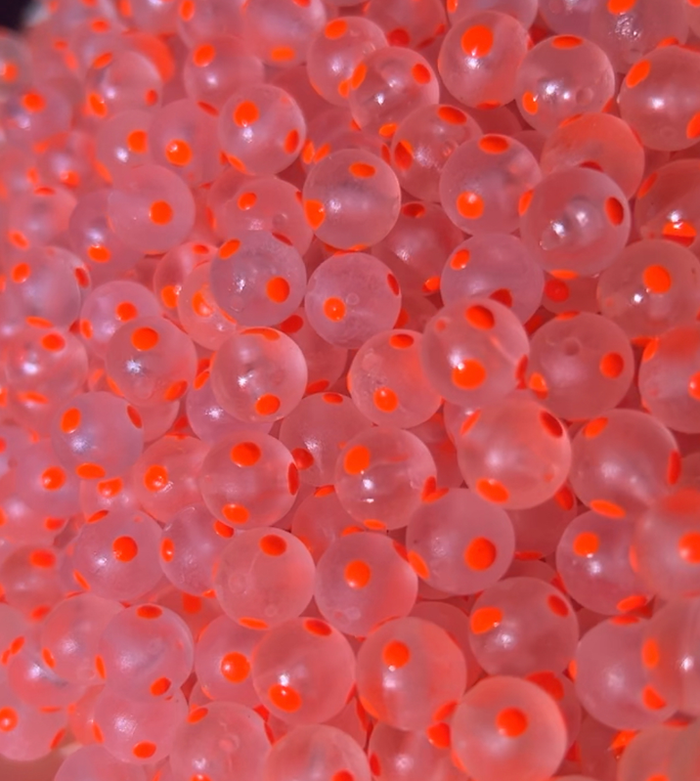 bloop bead snozberry