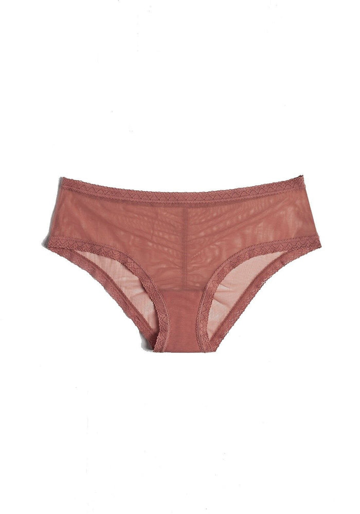 Blush The Mesh Lace Trim Hipster Panty - 0259625