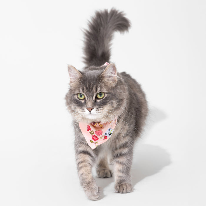 Bows & Blooms Bamboo Matching Pet Bandana