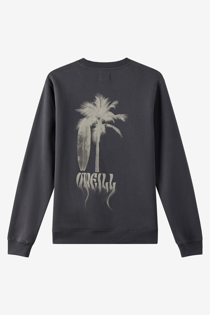 Boys' Shadow Classic Crew Neck Fleece back view