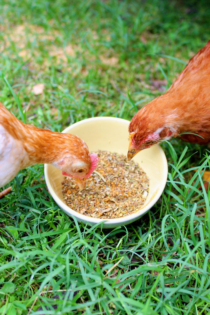 BreatheRight (TM) Coop Herbs For Clean & Great Smelling Coops