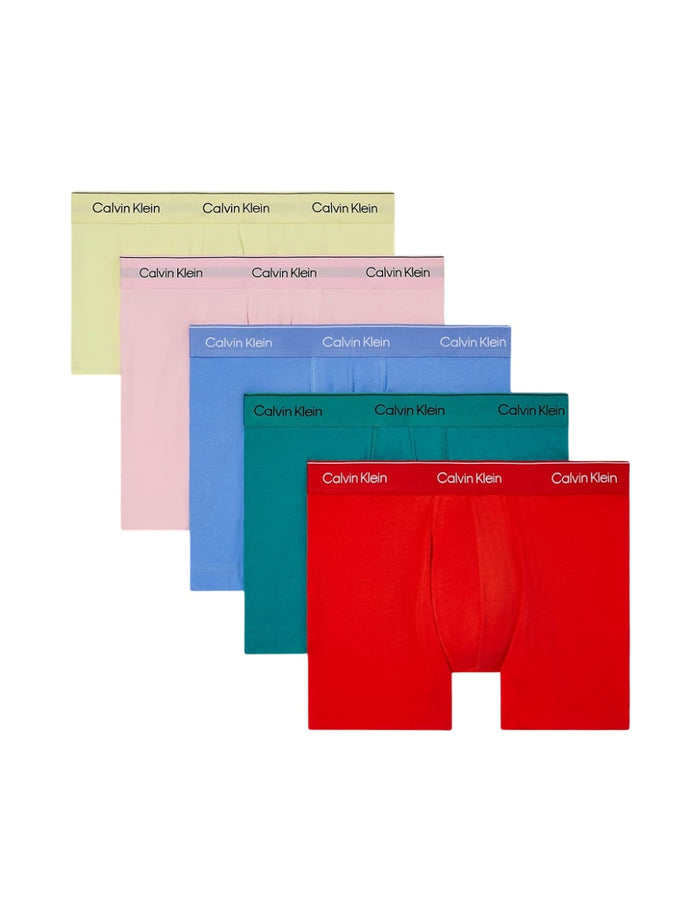 Calvin Klein Men's Pride Cotton Stretch 5-Pack Boxer Brief - NB4231