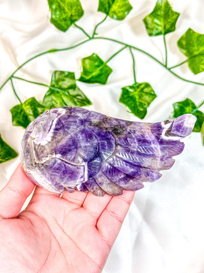 Chevron Amethyst Angel Wing (55B)
