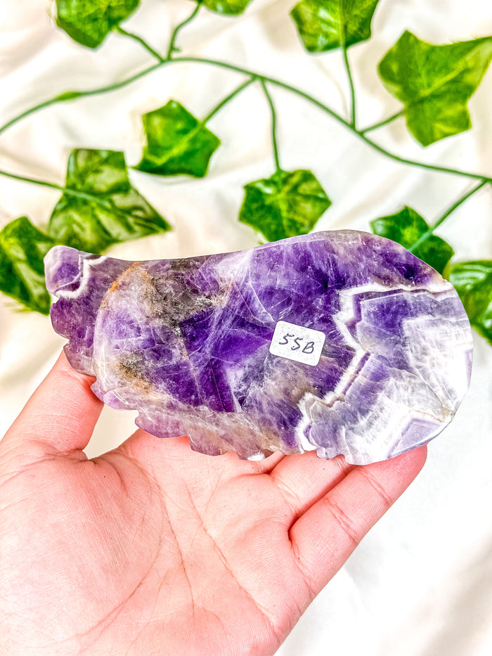 Chevron Amethyst Angel Wing (55B)