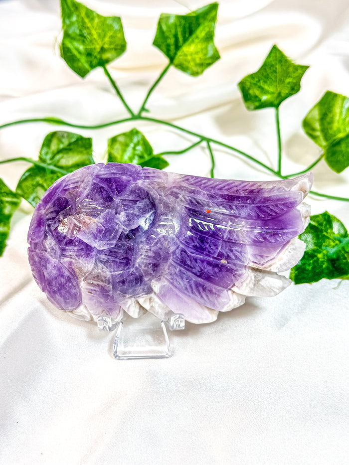 Chevron Amethyst Angel Wing (55J)