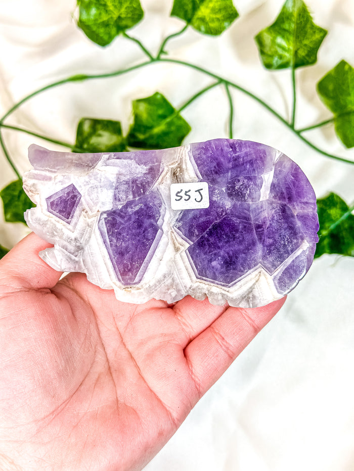 Chevron Amethyst Angel Wing (55J)