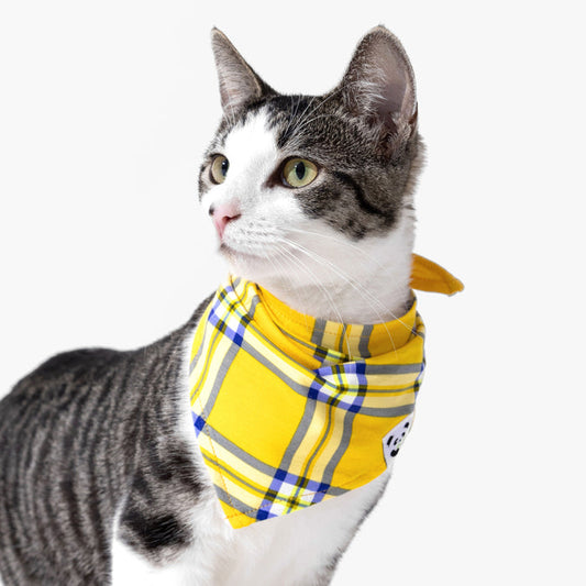 Clueless Total Betty Plaid Bamboo Matching Pet Bandana