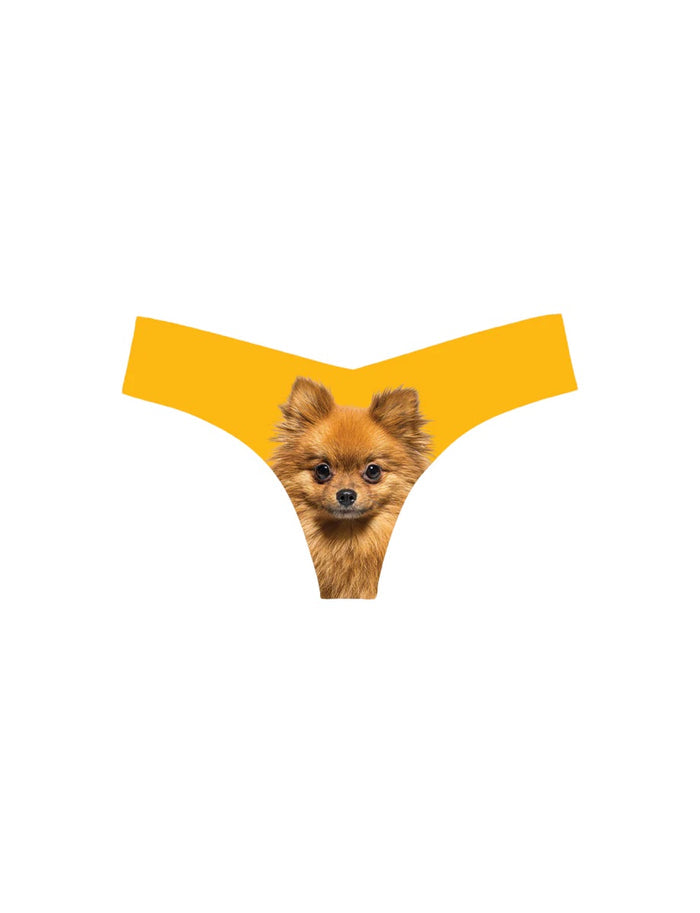 Photo-Op-Pomeranian / S/M