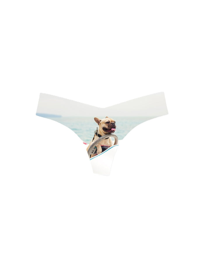 Frenchie / S/M