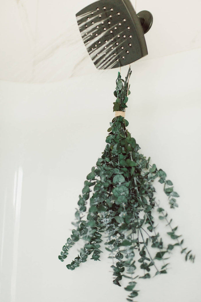 EUCALYPT-Eucalyptus Shower Bundle