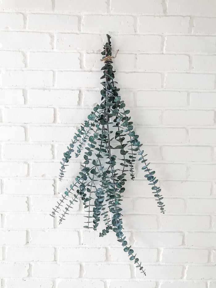 EUCALYPT-Eucalyptus Shower Bundle