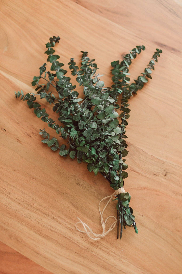 EUCALYPT-Eucalyptus Shower Bundle