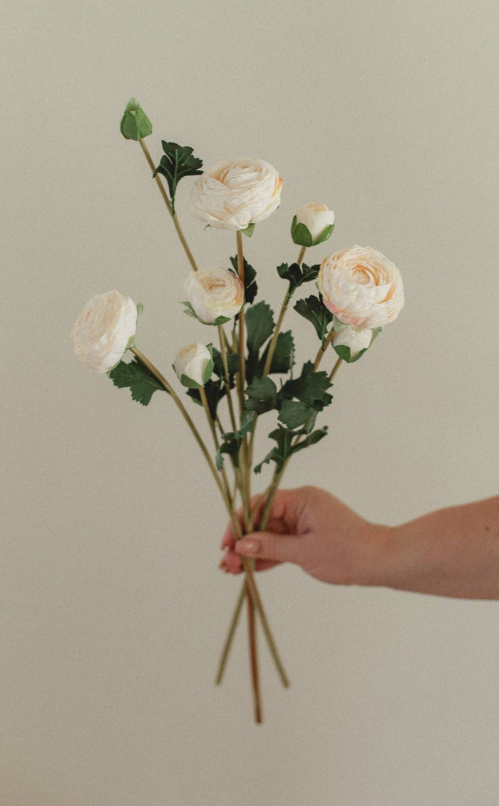 EUCALYPT Ranunculus
