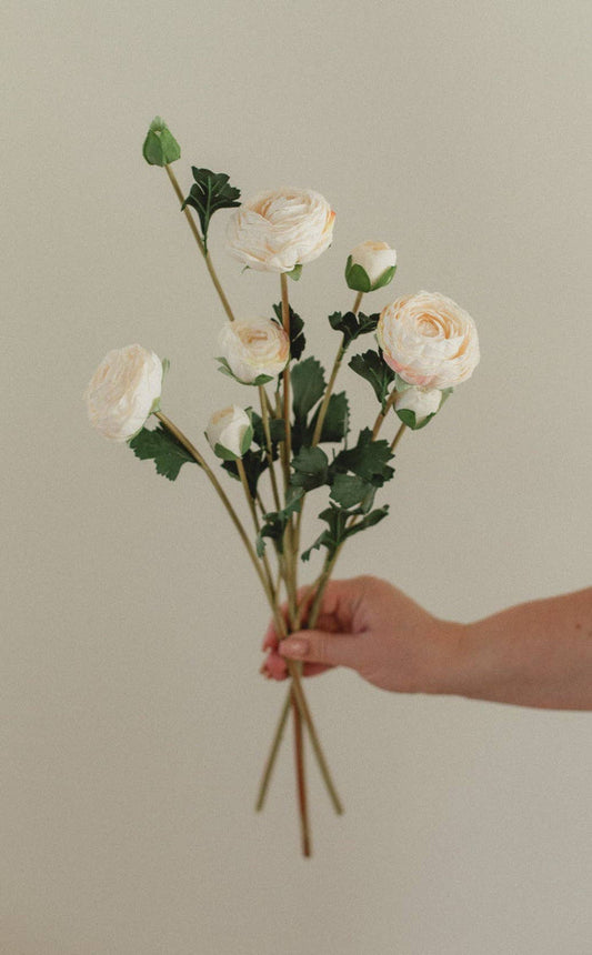 EUCALYPT Ranunculus