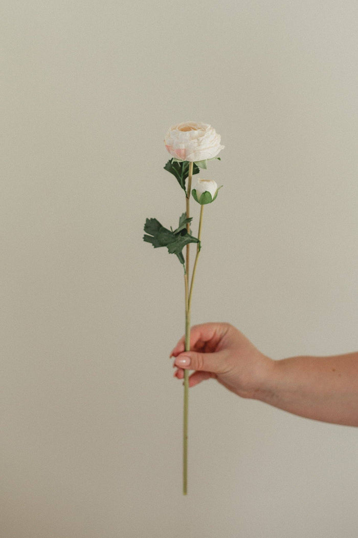 EUCALYPT Ranunculus