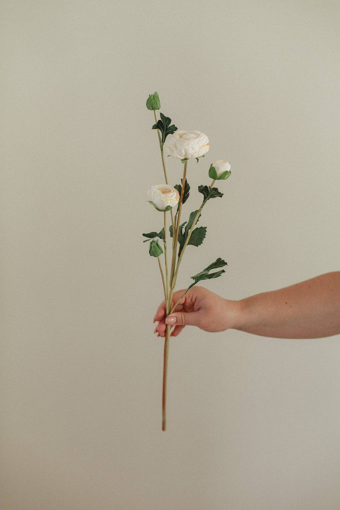 EUCALYPT Ranunculus
