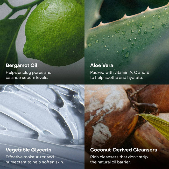 EVERIST The Body Wash Concentrate