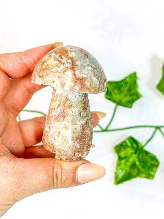 Flower Agate Mushroom