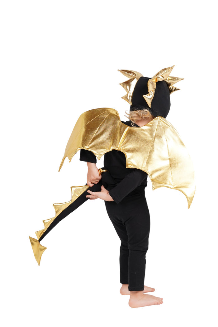 Golden Night Dragon Costume