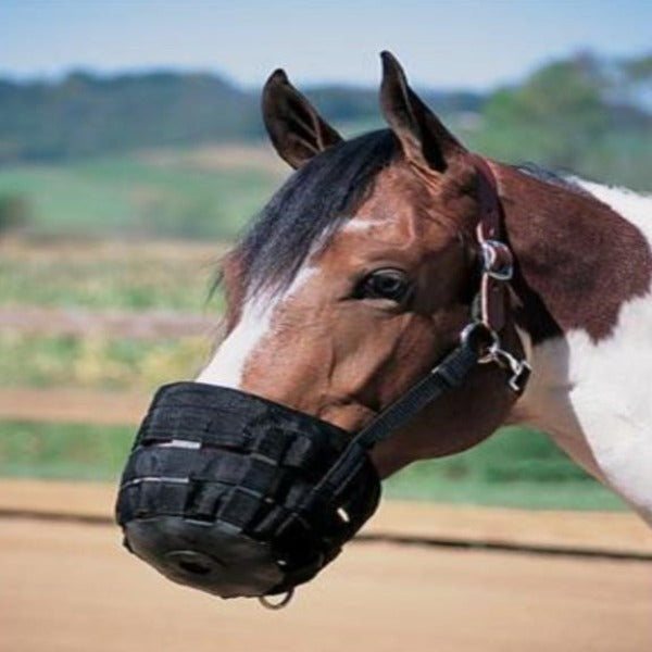 Grazing Muzzle - EZhorse.com