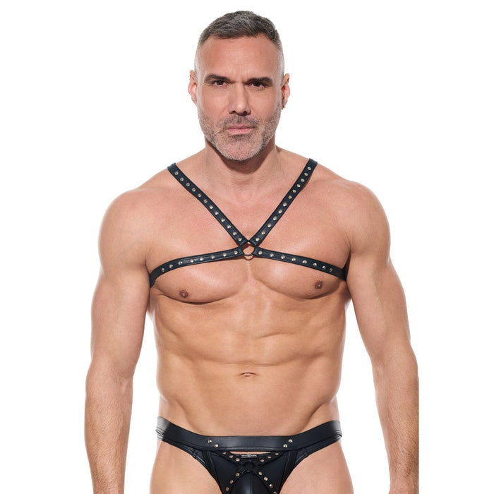 Gregg Homme Men's Afterlight Harness - 220960