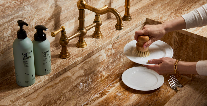 GUESTS ON EARTH Dish Soap Bulk Refill