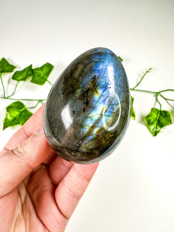Labradorite Egg (24K)